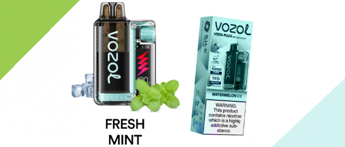 Vozol 20000 Fresh Mint Vozol 20000 Fresh Mint