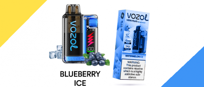 Vazol 20000 Blueberry Ice Vazol 20000 Blueberry Ice